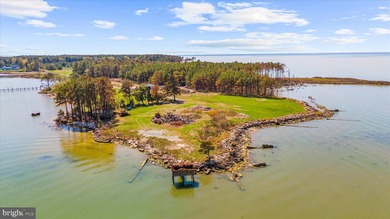 Spectacular Waterfront Peninsula - 21.87 Acres in Dorchester - photo 19