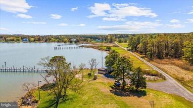 Spectacular Waterfront Peninsula - 21.87 Acres in Dorchester - photo 20