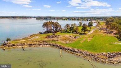 Spectacular Waterfront Peninsula - 21.87 Acres in Dorchester - photo 21