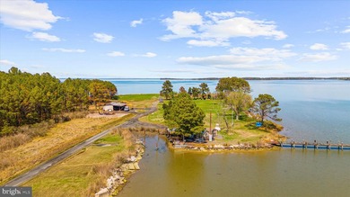 Spectacular Waterfront Peninsula - 21.87 Acres in Dorchester - photo 23