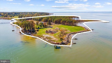 Spectacular Waterfront Peninsula - 21.87 Acres in Dorchester - photo 25