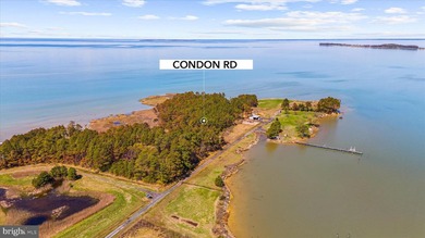Spectacular Waterfront Peninsula - 21.87 Acres in Dorchester - photo 26