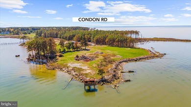 Spectacular Waterfront Peninsula - 21.87 Acres in Dorchester - photo 27