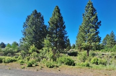 Nice Residential Lot! Great Location! Minutes to Agency Lake - photo 1