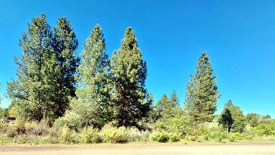 Nice Residential Lot! Great Location! Minutes to Agency Lake - photo 2