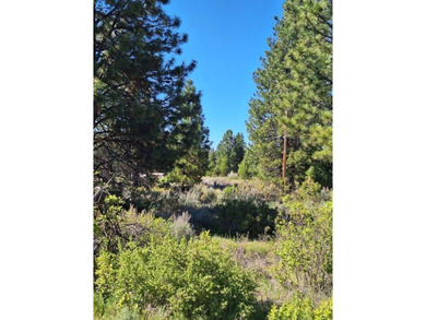 Nice Residential Lot! Great Location! Minutes to Agency Lake - photo 3