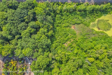 An extraordinary opportunity to acquire both a premier - photo 4