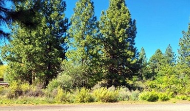 Nice Residential Lot! Great Location! Minutes to Agency Lake - photo 4