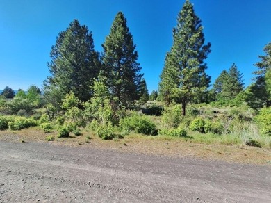 Nice Residential Lot! Great Location! Minutes to Agency Lake - photo 5