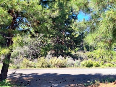 Nice Residential Lot! Great Location! Minutes to Agency Lake - photo 6