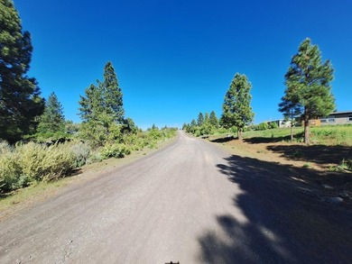Nice Residential Lot! Great Location! Minutes to Agency Lake - photo 8