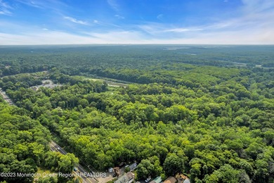 An extraordinary opportunity to acquire both a premier - photo 9