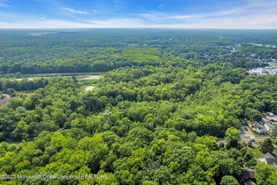 An extraordinary opportunity to acquire both a premier - photo 10