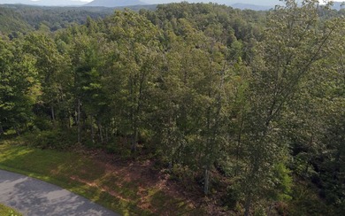 Large Lot 7.99 acres in Riverwalk on the Hiwassee, Murphy NC - photo 2