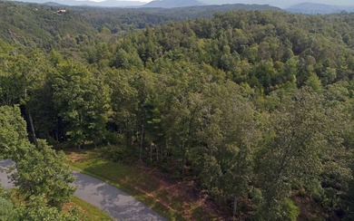 Large Lot 7.99 acres in Riverwalk on the Hiwassee, Murphy NC - photo 3