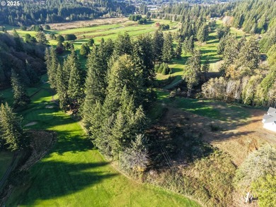 Beautiful 2.60-Acre Golf Course Lot in Ironwood Estates - - photo 6