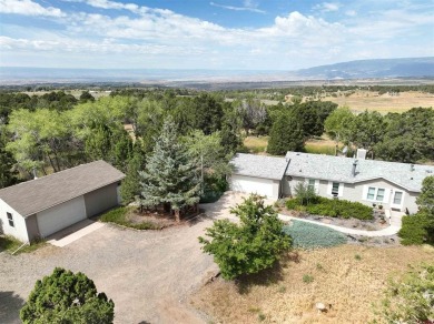 (private lake, pond, creek) Home For Sale in Hotchkiss Colorado