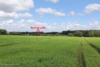 Spring Lake Acreage For Sale in Spring Lake Florida