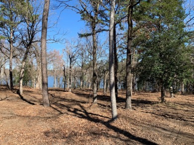 1.3 Acre Panoramic Waterfront! - photo 3