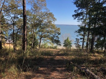Lake Eufaula Lot For Sale in Abbeville Alabama