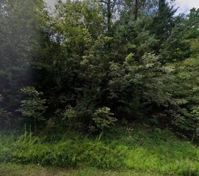 Lake Lot For Sale in Pittsville, Virginia