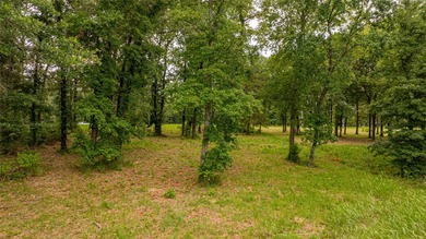 Awesome Waterfront Lot in Sterling Shores - Lake Bob Sandlin - photo 12