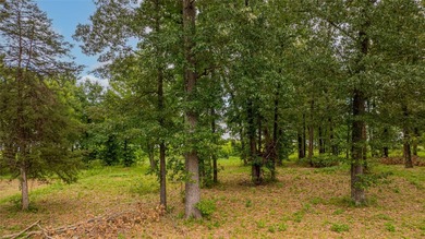 Awesome Waterfront Lot in Sterling Shores - Lake Bob Sandlin - photo 13