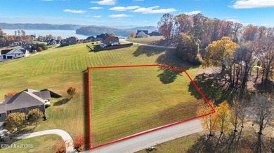 Douglas Lake Lot For Sale in Dandridge Tennessee