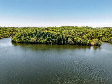 An opportunity to own an incredible piece of the Ozarks!! Some - photo 10