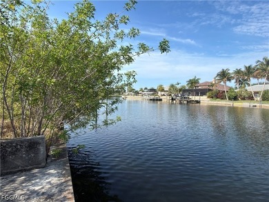 Exceptional western-exposure,150ft+ wide-water Gulf access - photo 4
