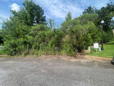 Lake Lot For Sale in Midland, Georgia