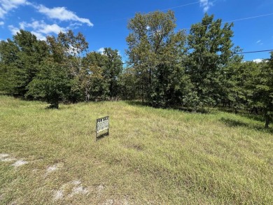 Lake Acreage For Sale in Sunset, Texas