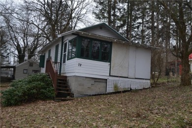 Great opportunity to own a year round or vacation lake cottage - Lake Home For Sale in Arcade, New York