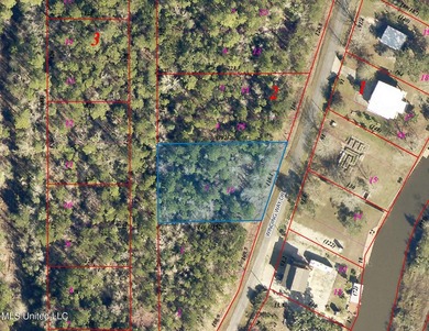Located in the remote Delisle Harbor Estates neighborhood this - photo 1