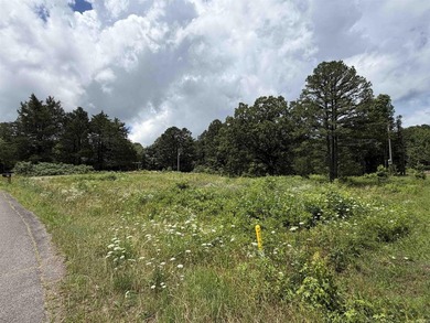 Heber Springs area, Large wooded lot with 2-3 extremely large - photo 1