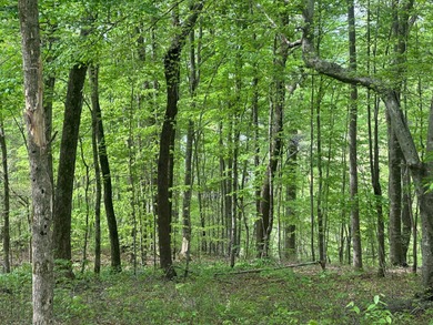 Dale Hollow Lake Lot For Sale in Albany Kentucky