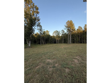 (private lake, pond, coastal) Acreage For Sale in Newberry South Carolina