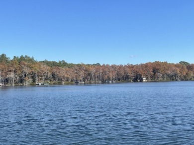Lake Lot For Sale in Ponce De Leon, Florida