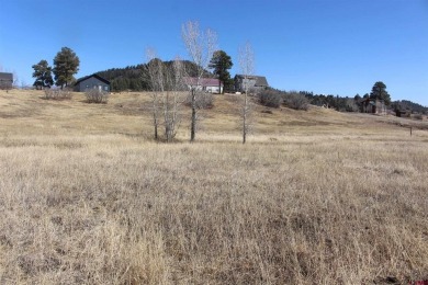 Hatcher Reservoir Lot For Sale in Pagosa Springs Colorado