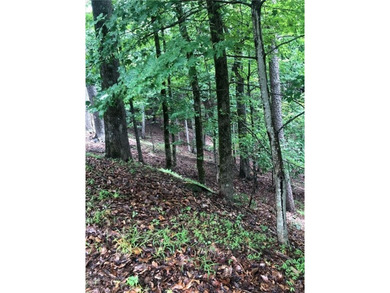 Cove Lake Lot For Sale in Jasper Georgia