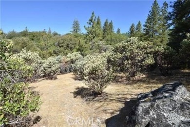 Lake Acreage For Sale in Berry Creek, California