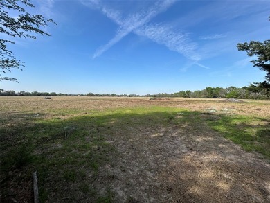 Exceptional opportunity to own 204 acres of prime East Texas - photo 3