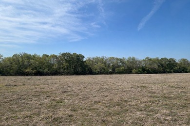 Exceptional opportunity to own 204 acres of prime East Texas - photo 4