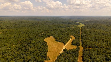 2,500+/- Acres with 11 Point River Frontage - Missouri Ozarks - photo 1
