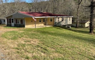 Lake Blue Ridge Home For Sale in Mineral Bluff Georgia