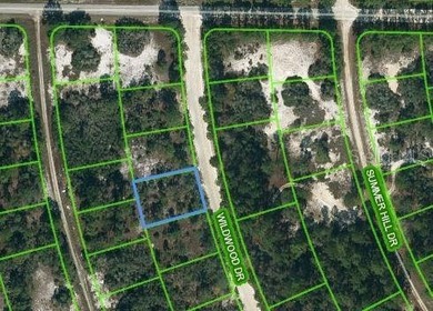 Lake Grassy Lot For Sale in Lake Placid Florida