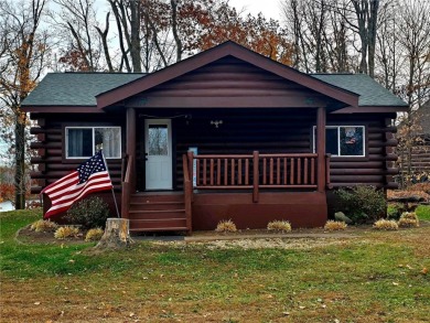 White Ash Lake Home For Sale in Apple River Twp Wisconsin