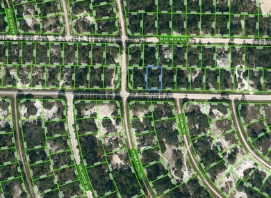 Lake Grassy Lot For Sale in Lake Placid Florida