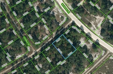 Lake Grassy Lot For Sale in Lake Placid Florida