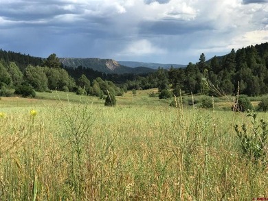 (private lake, pond, creek) Lot For Sale in Pagosa Springs Colorado